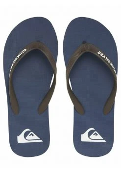Quiksilver MOLOKAI - Tongs - Blue/brown/blue