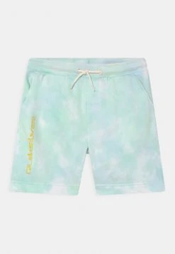 Quiksilver SLOW DIVE YOUTH - Short - Blue