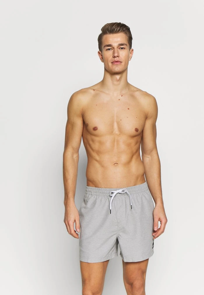 Quiksilver EVERYDAY VOLLEY - Short De Bain - Sleet Heather 1 Quiksilver EVERYDAY VOLLEY - Short De Bain - Sleet Heather