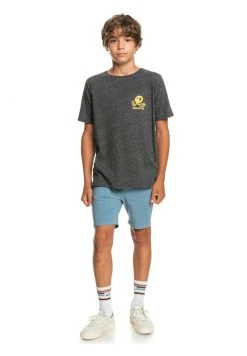 Quiksilver NEW WORLD - T-shirt Imprimé - Charcoal Heather -Quiksilver Soldes Magasin 2980670a6cbc4d8ba6bd1a6db18aace9