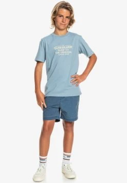 Quiksilver FEEDING LINE - T-shirt Imprimé - Faded Denim