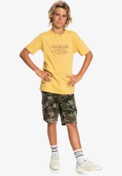 Quiksilver FEEDING LINE - T-shirt Imprimé - Rattan