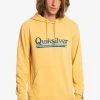 Quiksilver Sweat à Capuche - Rattan