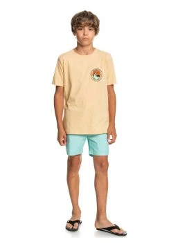 Quiksilver CLOSED BUBBLE - T-shirt Imprimé - Almond Cream Heather -Quiksilver Soldes Magasin 8c286f27144a4b04b04e0c4fea4d1f24