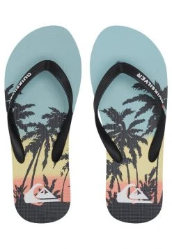 Quiksilver MOLOKAI ART - Tongs - Blue -Quiksilver Soldes Magasin 9dea9f97d8d845f79d865da51d84f615