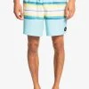 Quiksilver RESIN - Short De Bain - Blue
