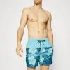 Quiksilver EVERYDAY FLORAL STRIPE - Short De Bain - Blue