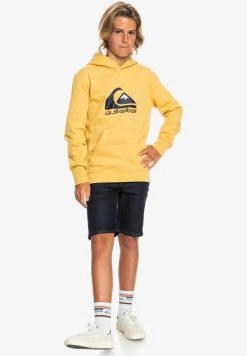 Quiksilver BIG LOGO YOUTH - Sweat à Capuche - Rattan