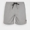 Quiksilver EVERYDAY VOLLEY - Short De Bain - Sleet Heather