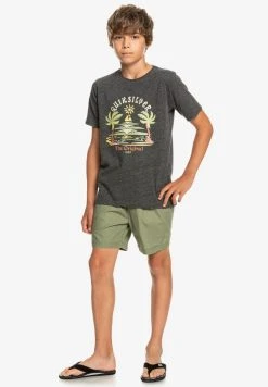 Quiksilver STRANGE DAYS - T-shirt Imprimé - Charcoal Heather