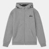 Quiksilver BEST WAVE YOUTH - Sweat à Capuche Zippé - Light Grey Heather